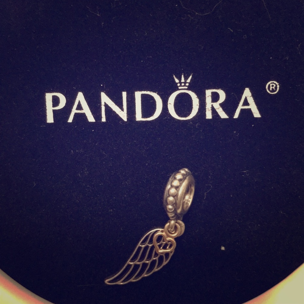 Pandora Heart Wing Charm